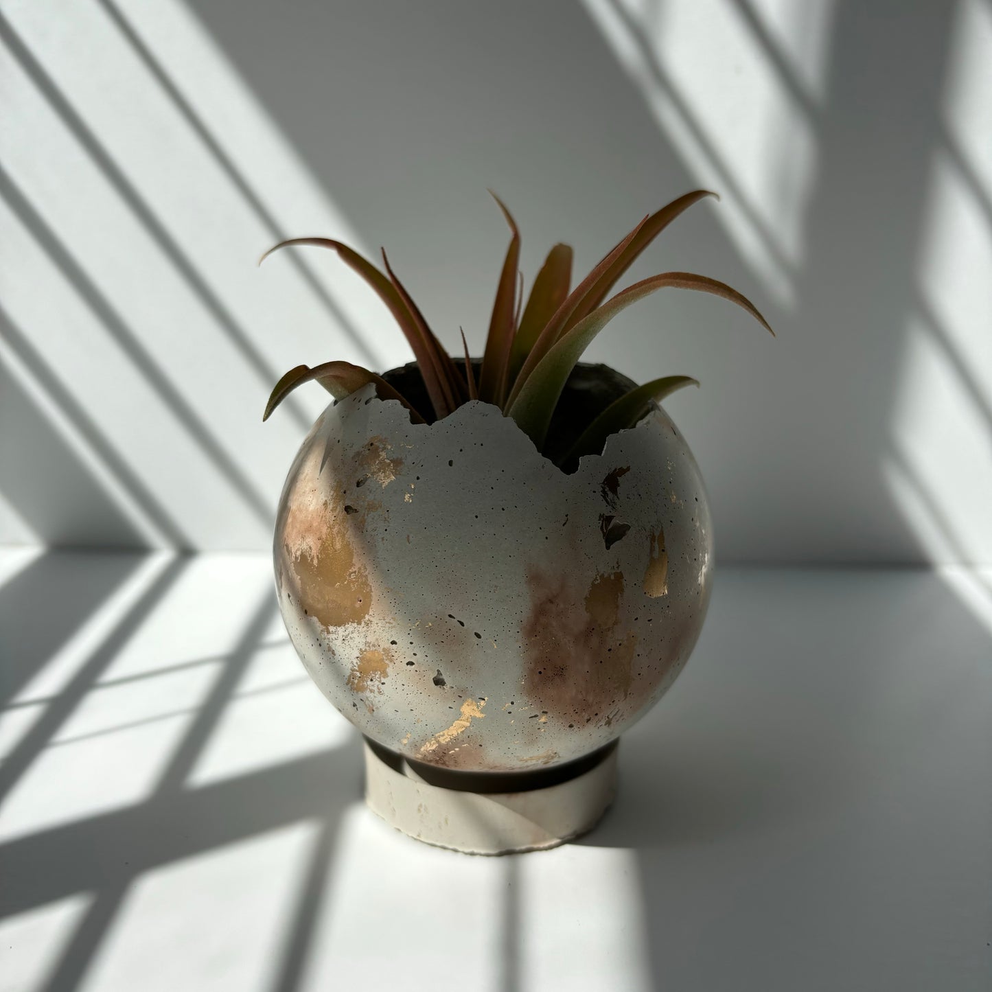 Mini-Moon Pot