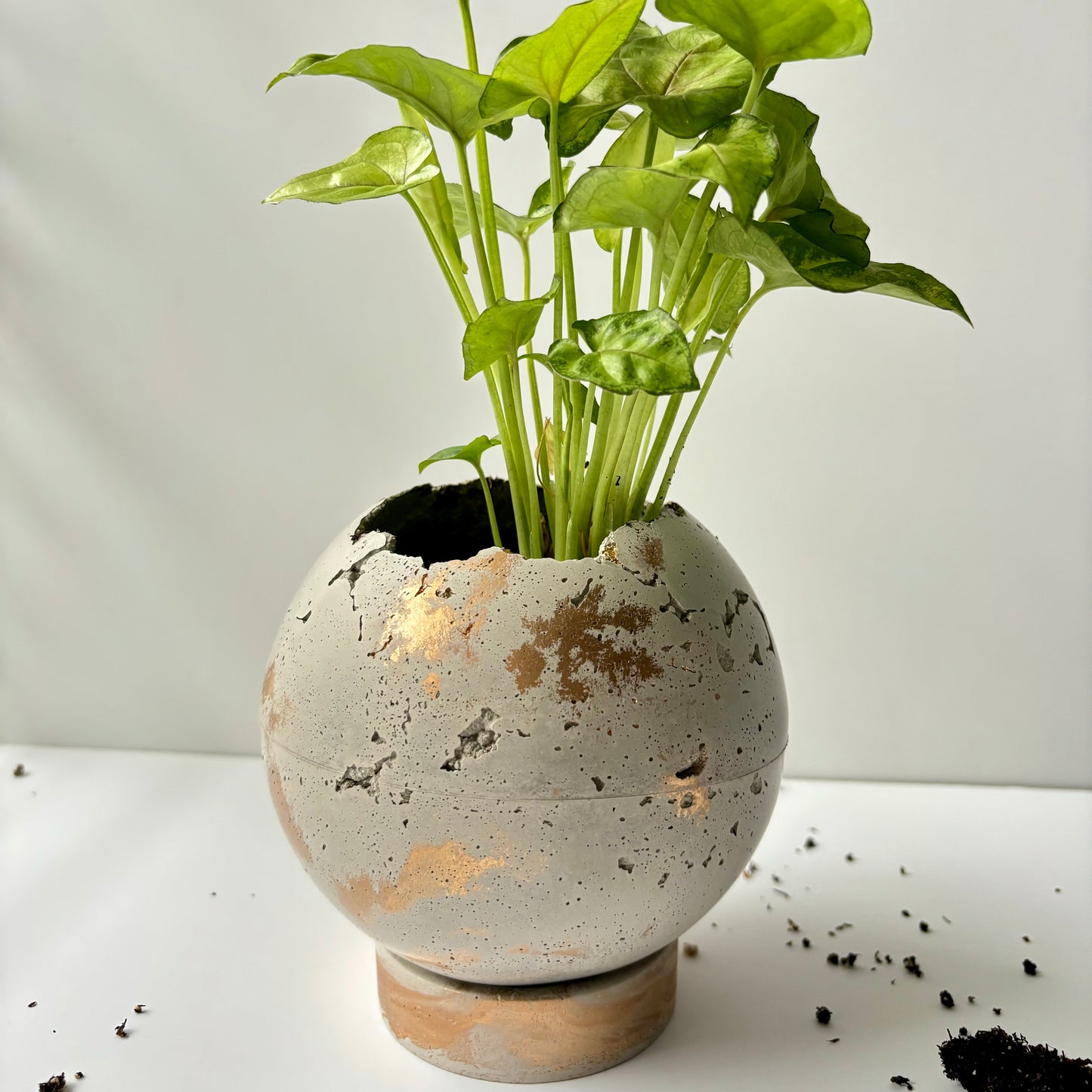 Moon Pot