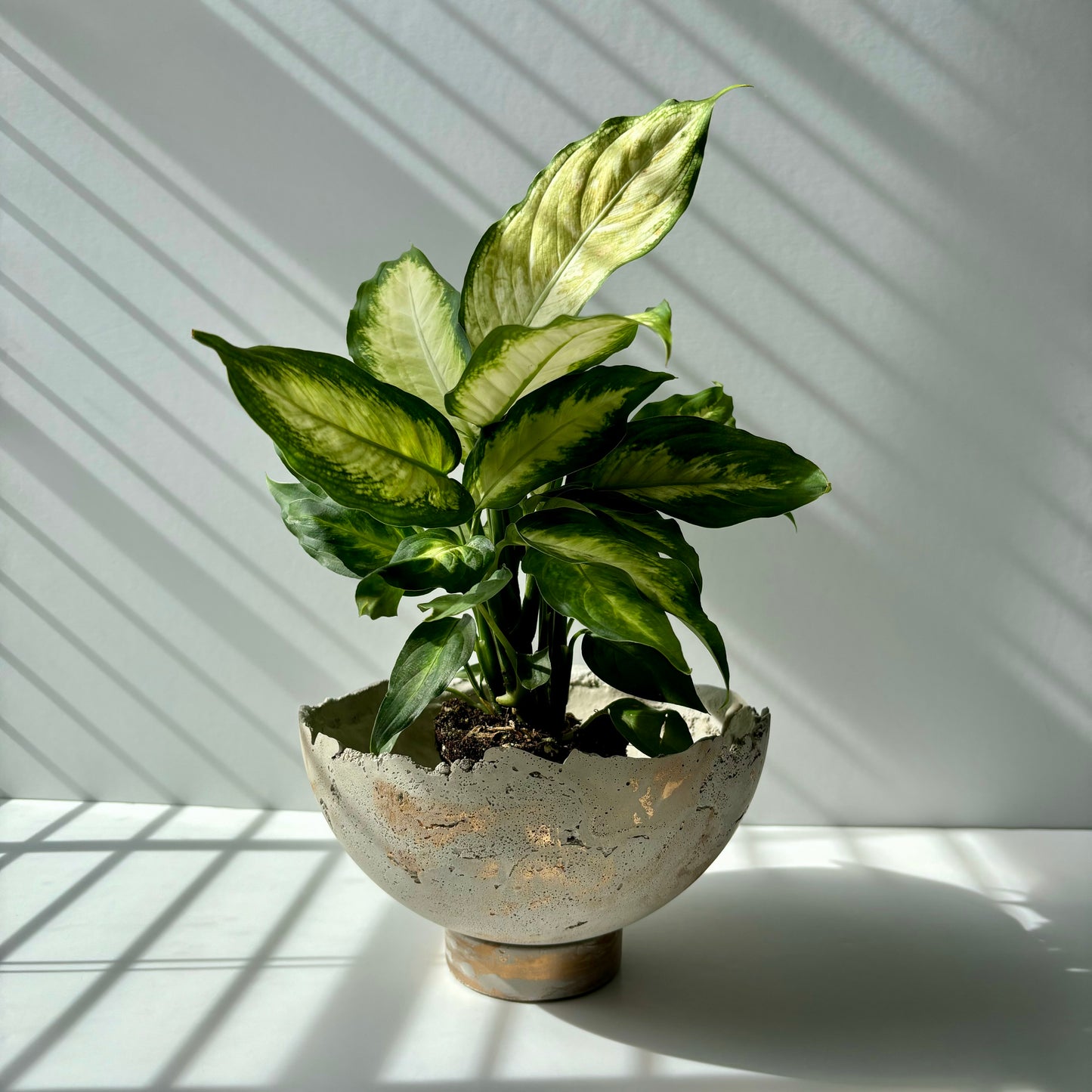 Half Moon Pot