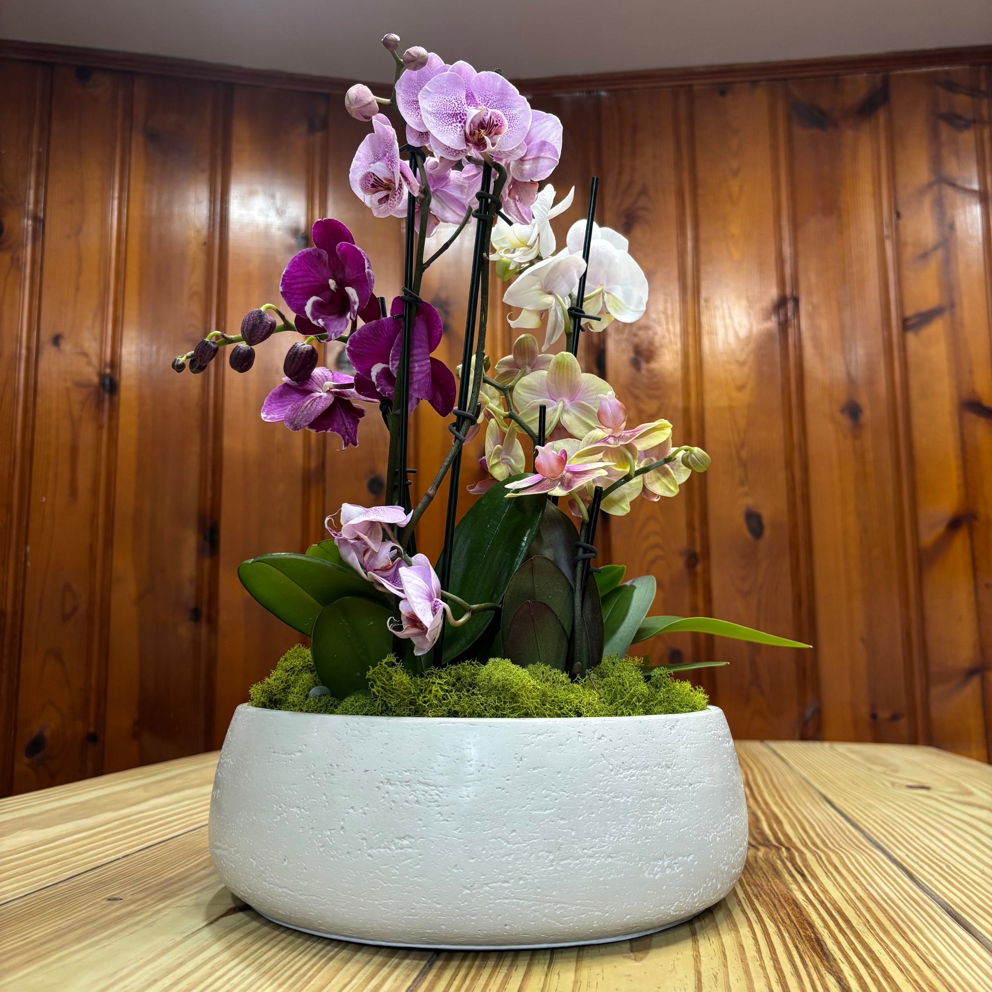 Daza Textured Bowl | 10” Decorative Concrete Bowl