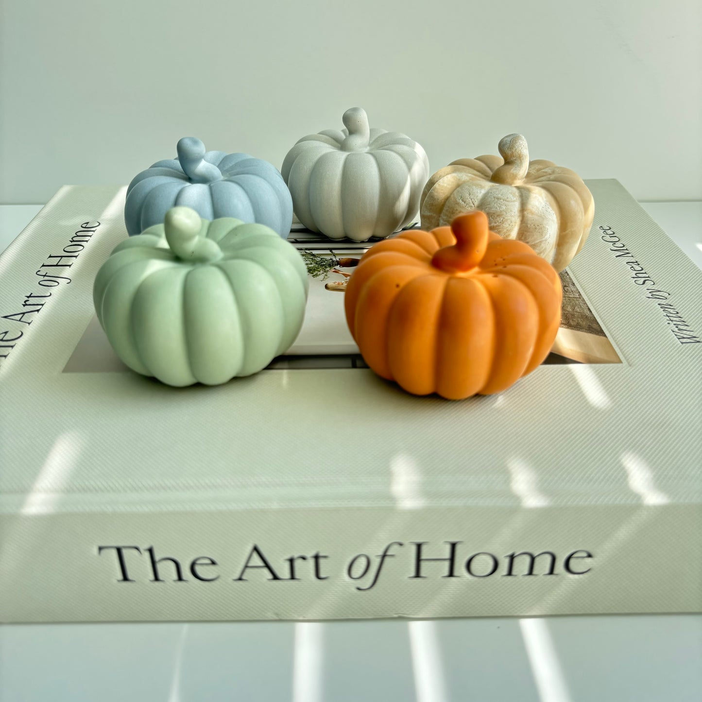 Concrete Pumpkin Set of 2