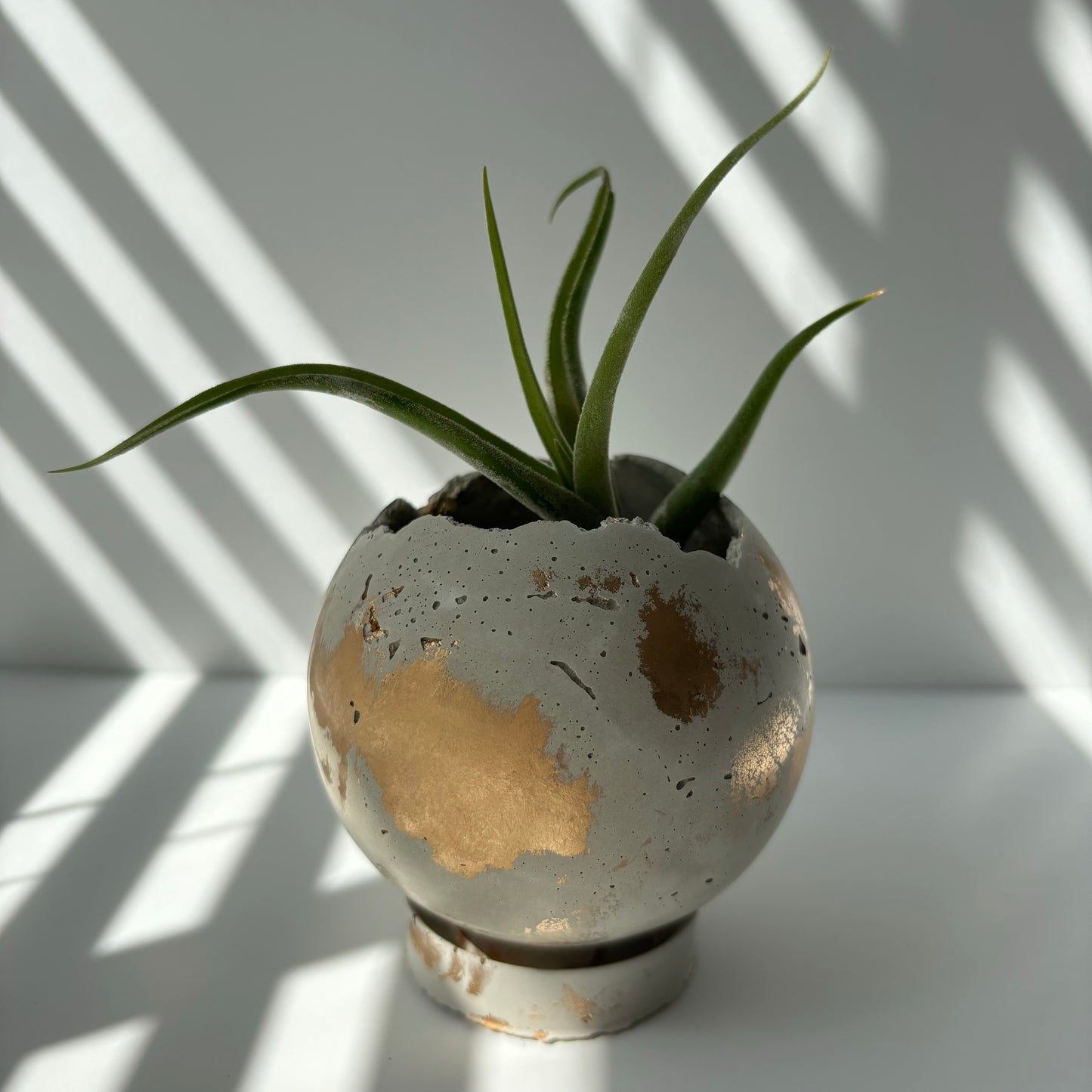 Mini-Moon Pot