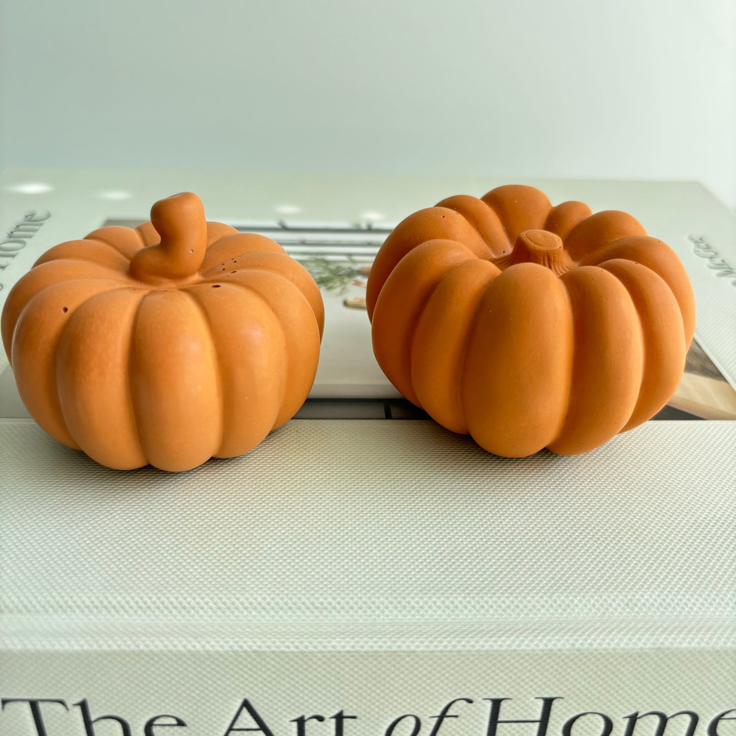 Concrete Pumpkin Set of 2