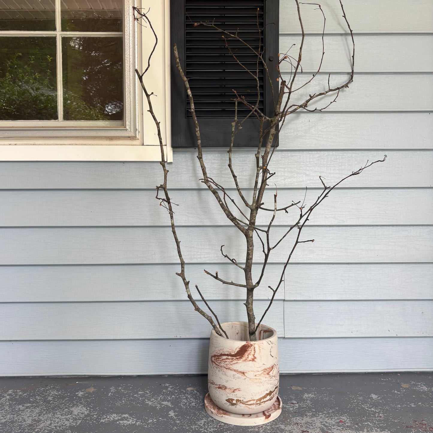 Luma Planter