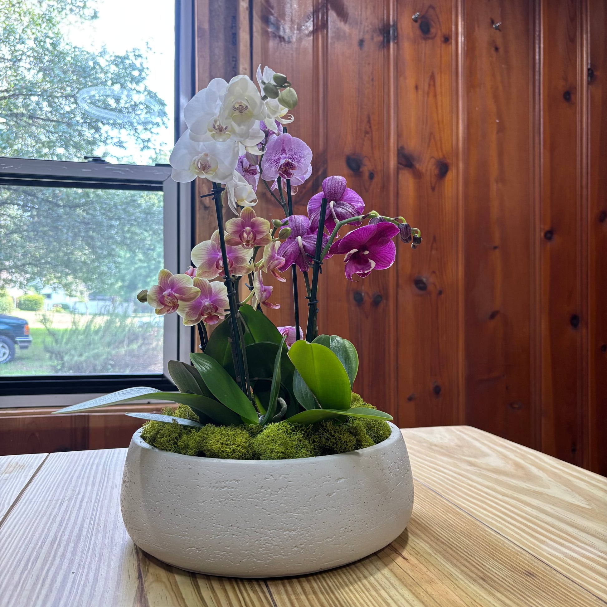 Daza Textured Bowl | 10” Decorative Concrete Bowl