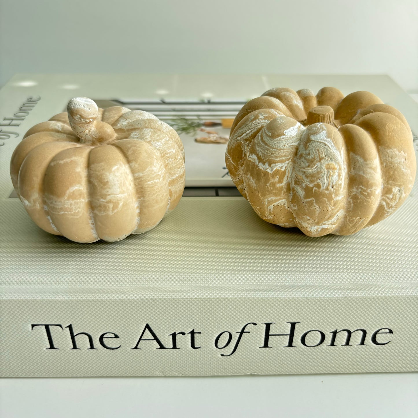 Concrete Pumpkin Set of 2