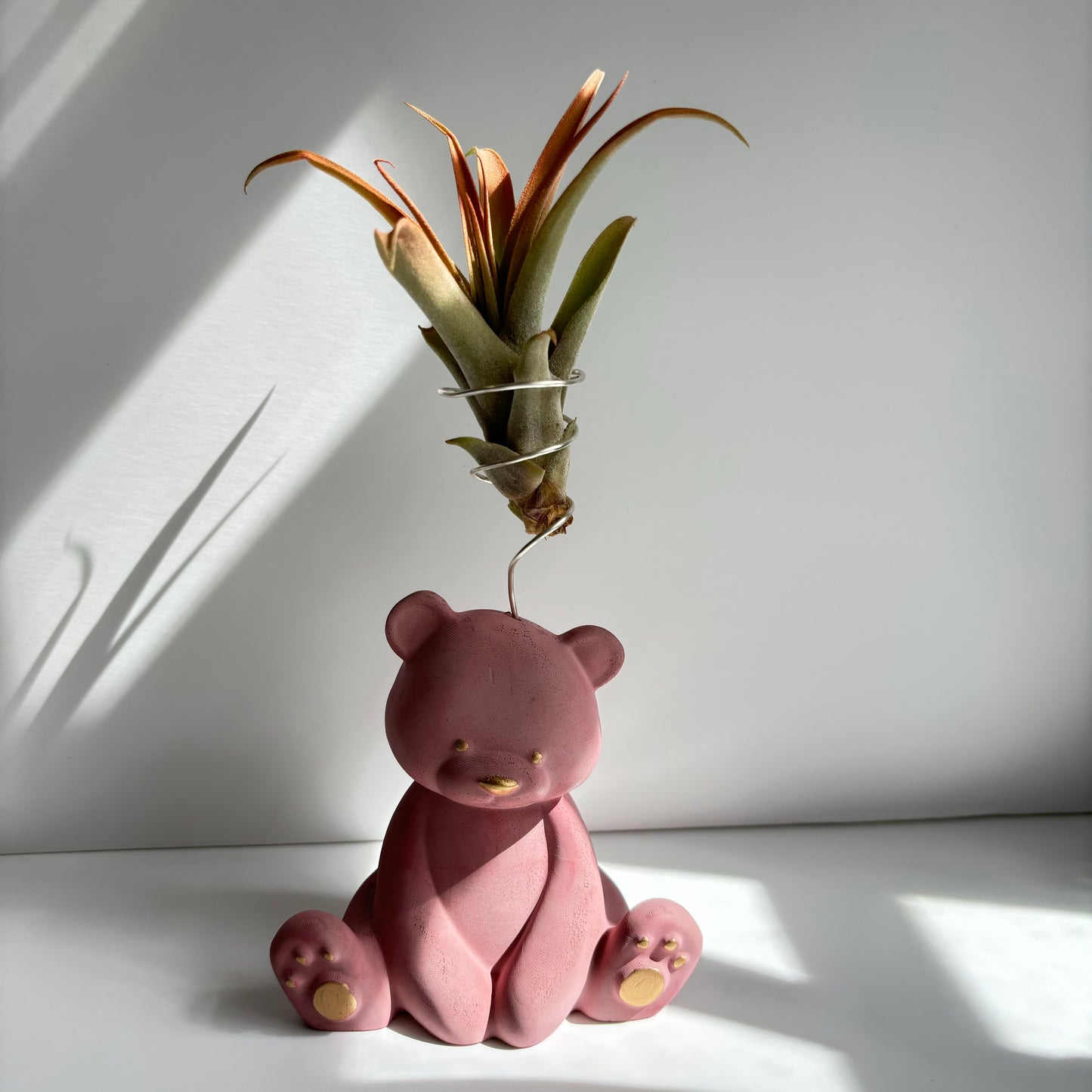 Bear Air Plant Holder