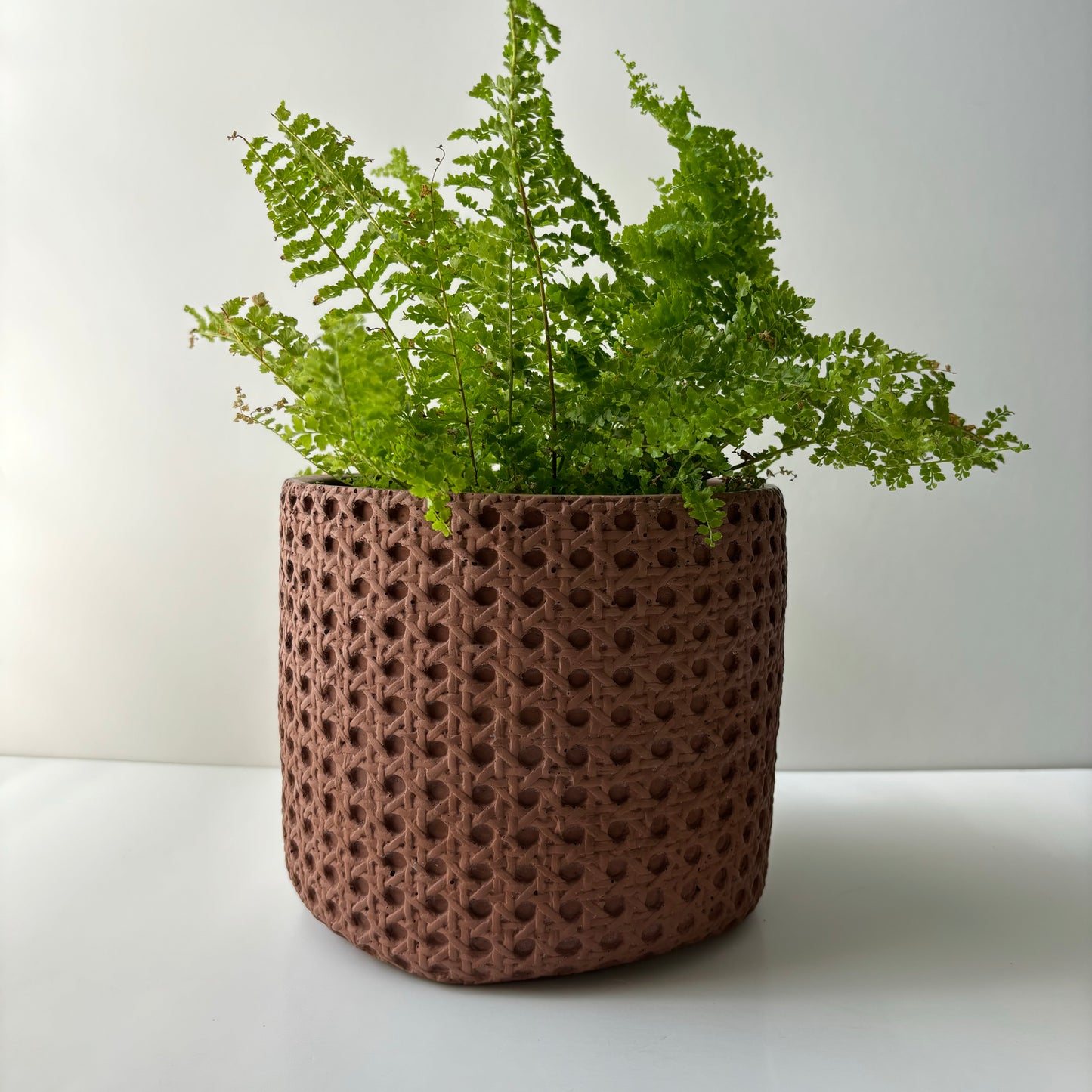 Basket Plant Pot