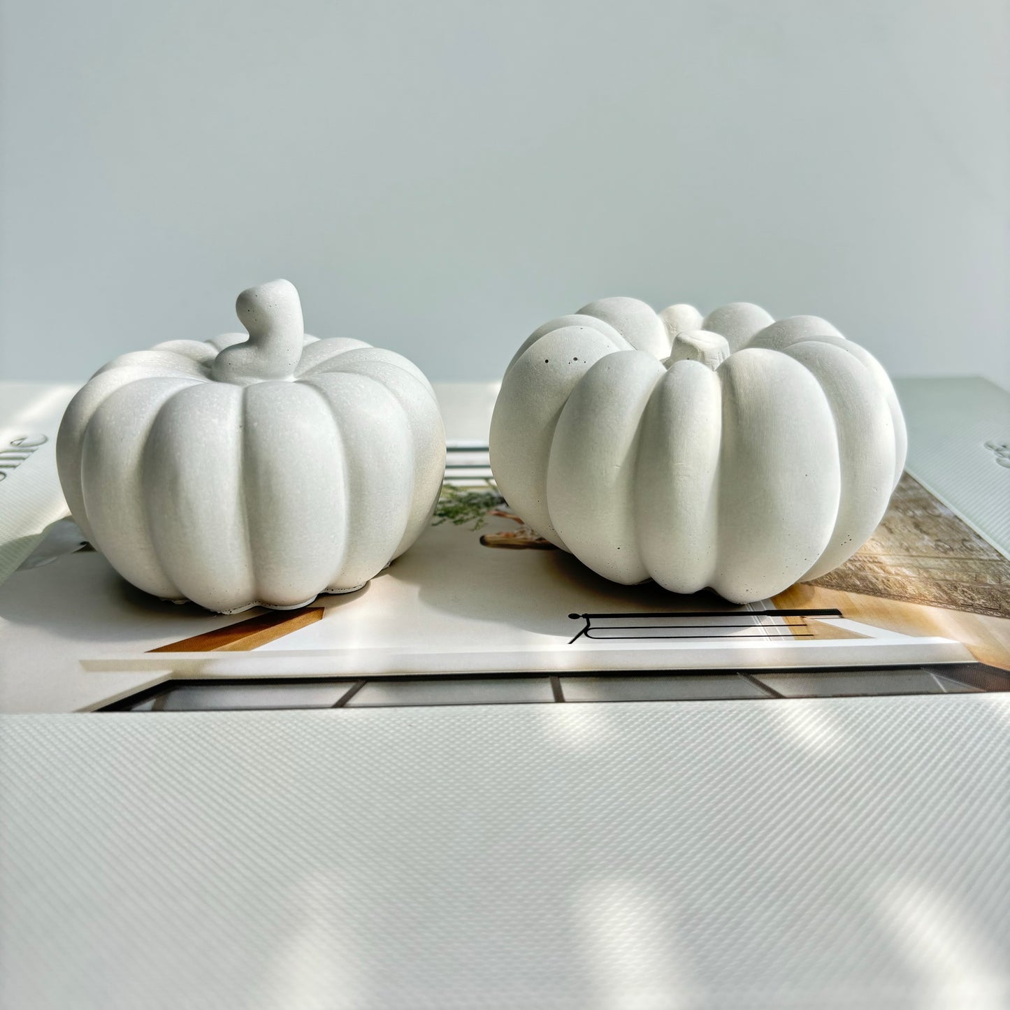 Concrete Pumpkin Set of 2