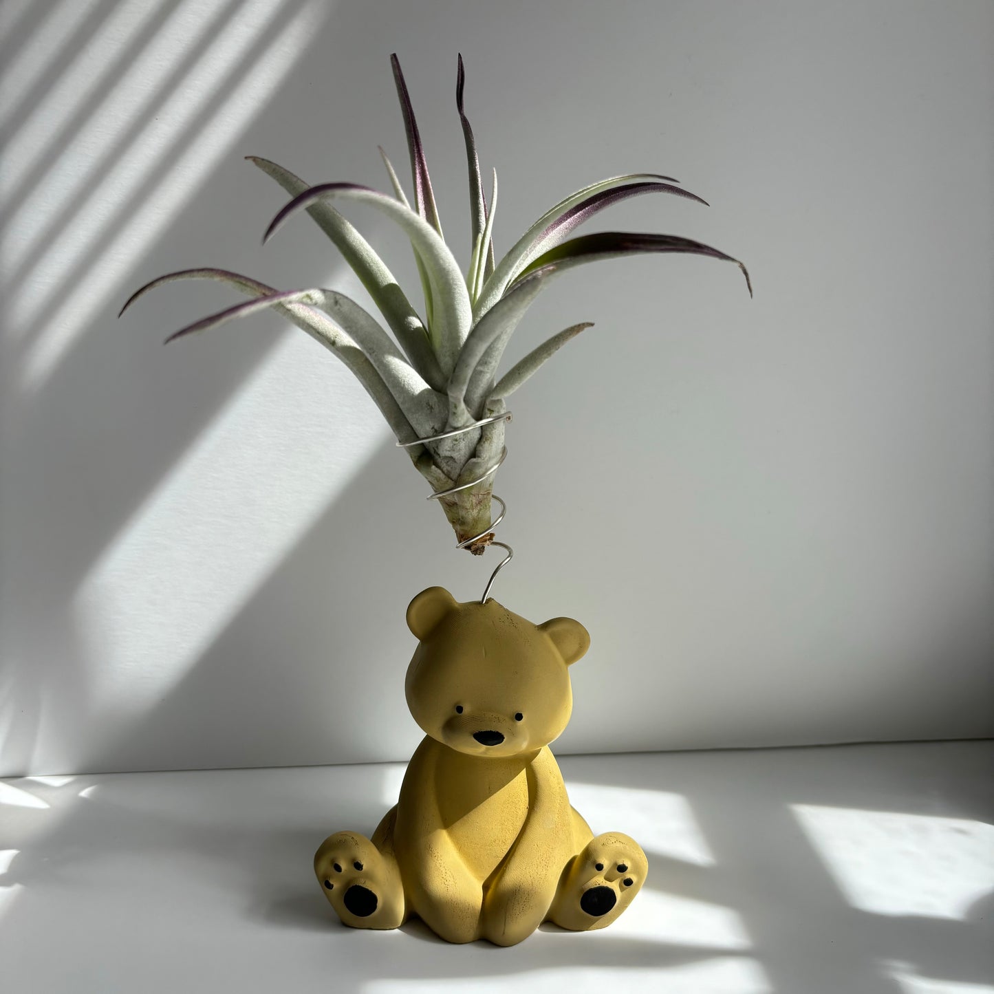 Bear Air Plant Holder