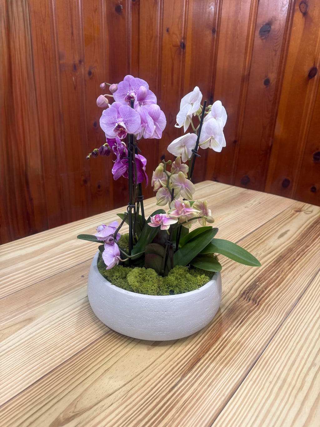 Daza Textured Bowl | 10” Decorative Concrete Bowl
