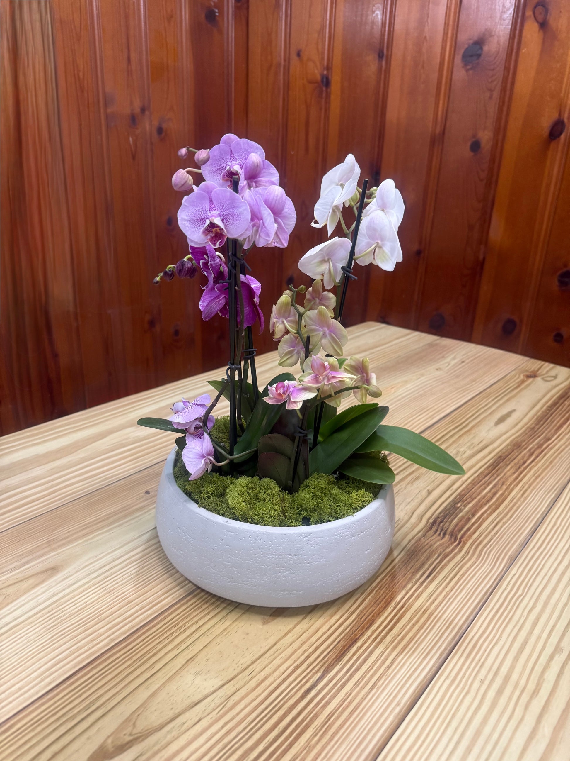 Daza Textured Bowl | 10” Decorative Concrete Bowl
