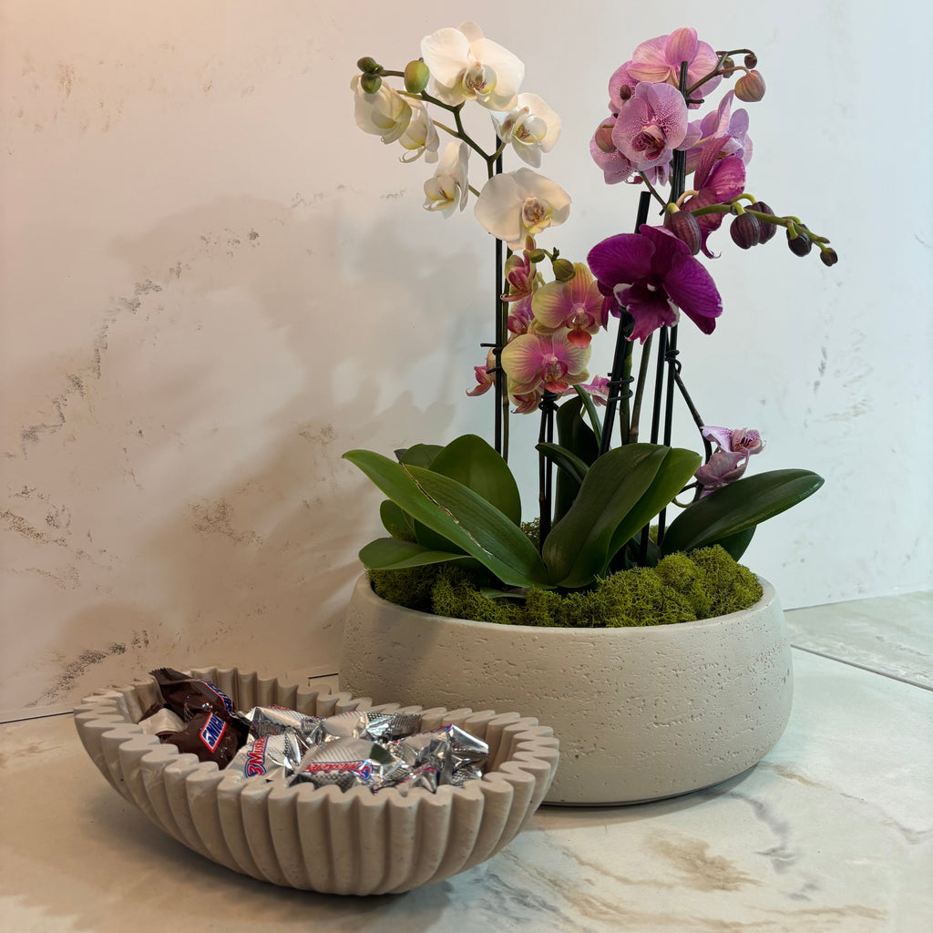 Solea - Fluted Bowl