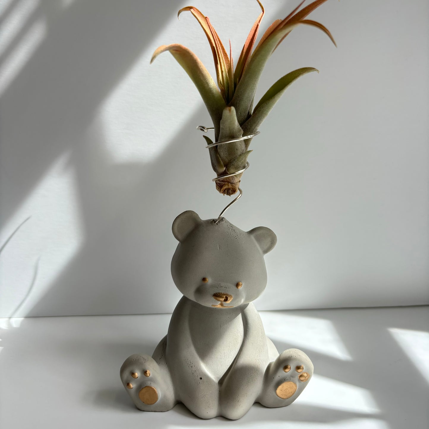 Bear Air Plant Holder