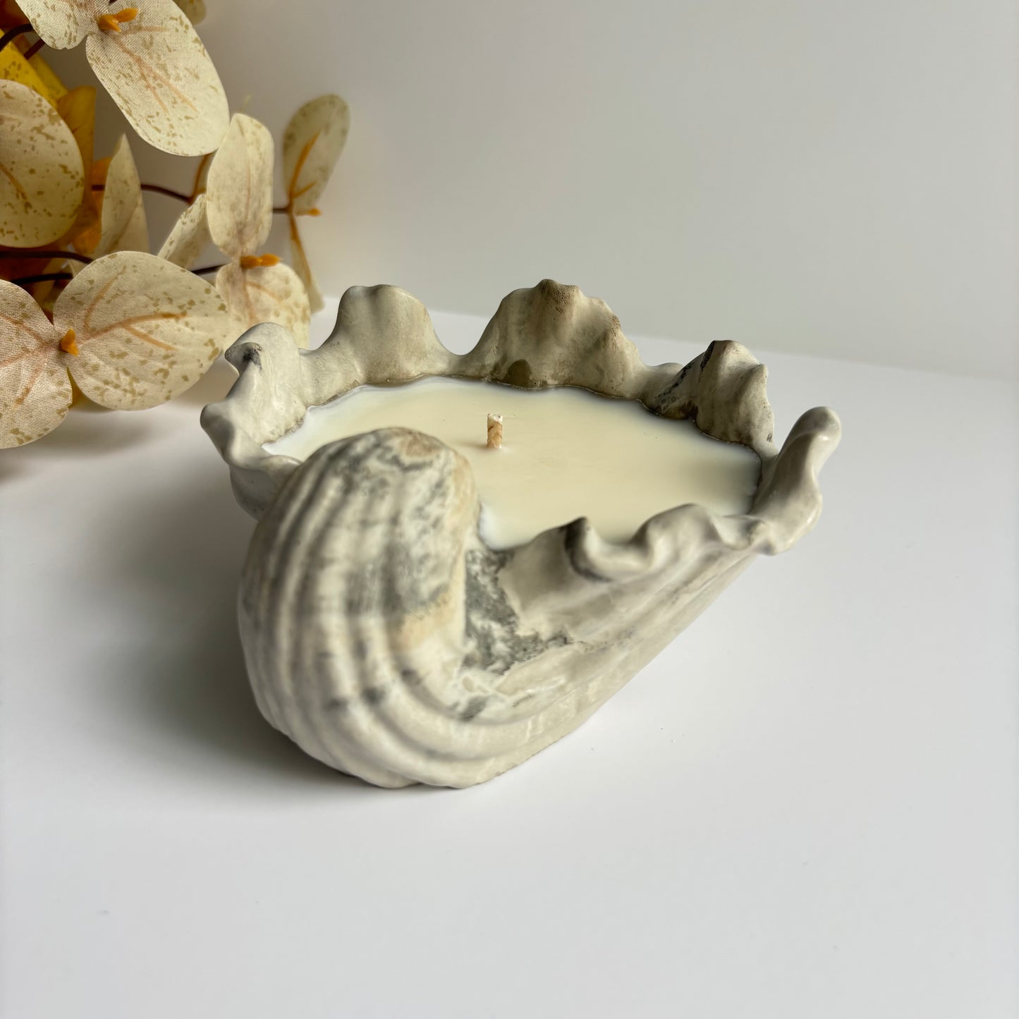 Selene - Shell Candle