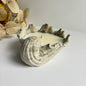 Selene - Shell Bowl-Dish