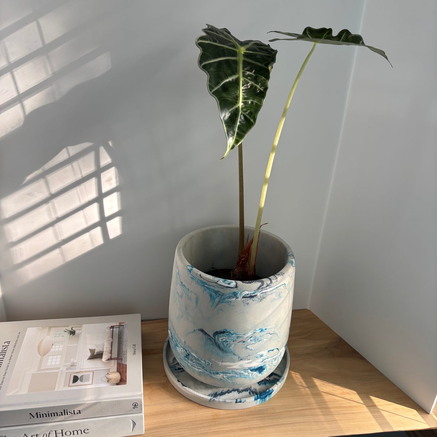 Luma Planter