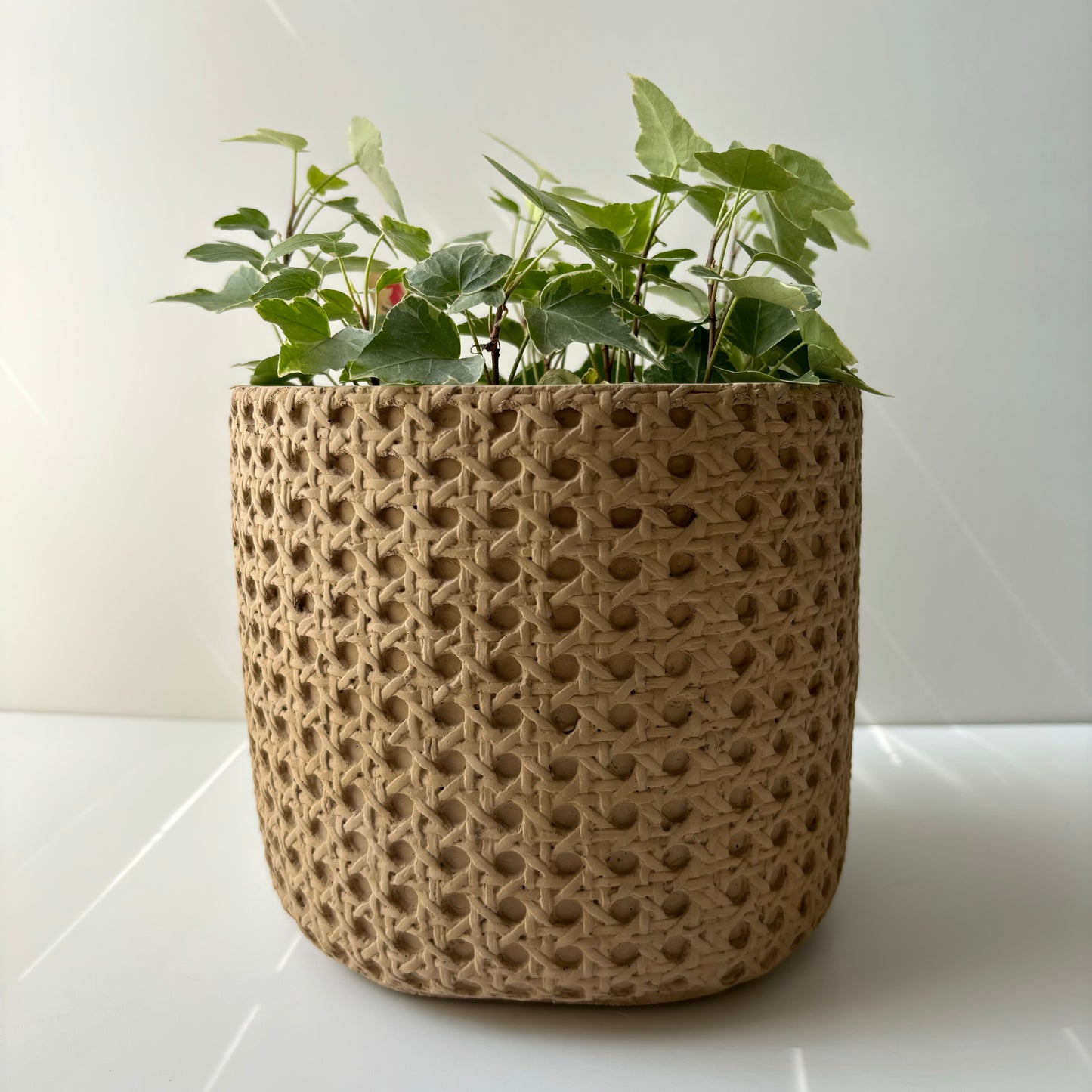 Basket Plant Pot