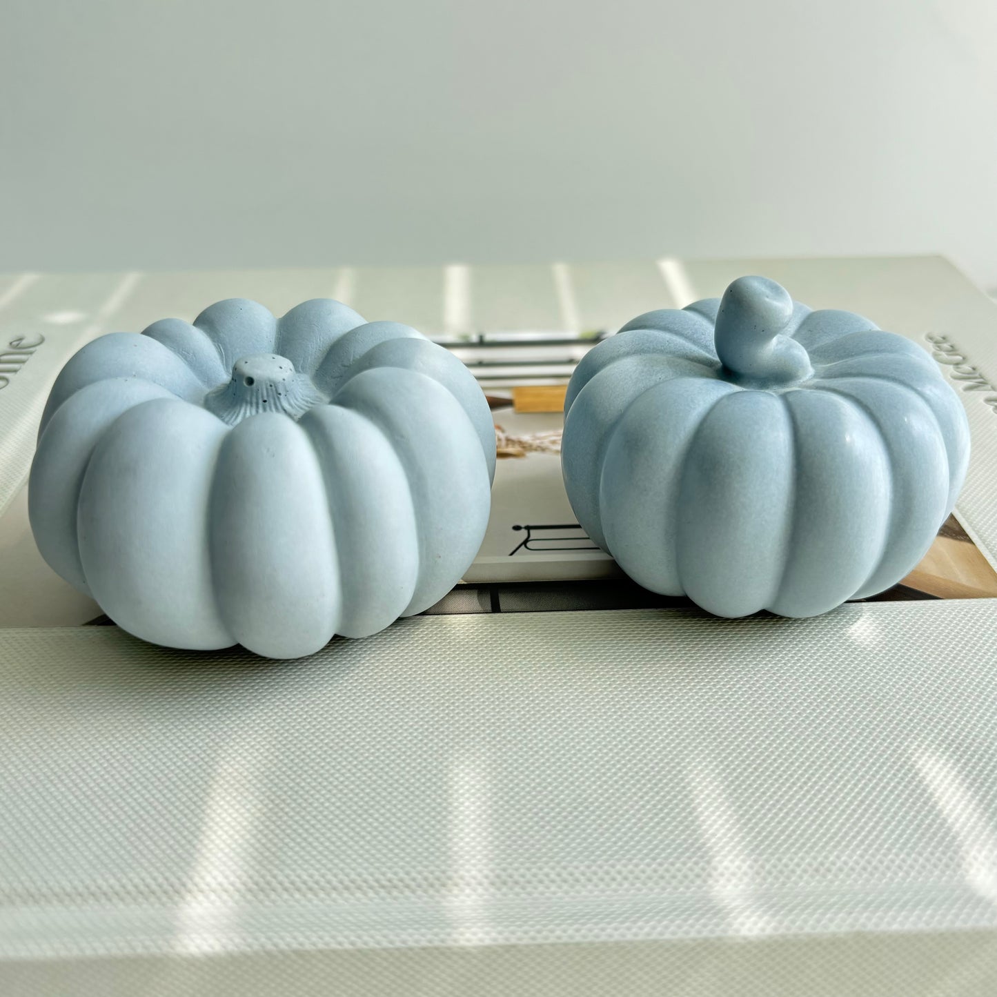 Concrete Pumpkin Set of 2