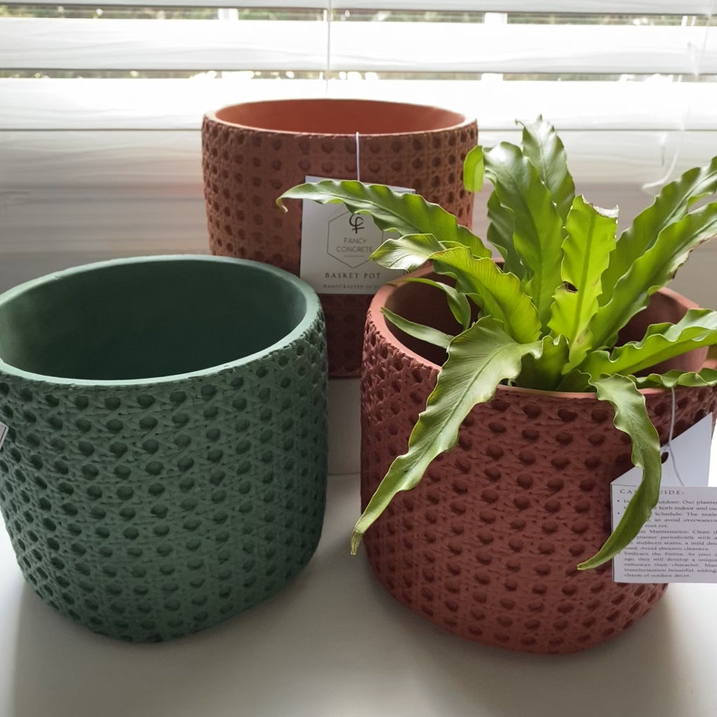 Basket Plant Pot