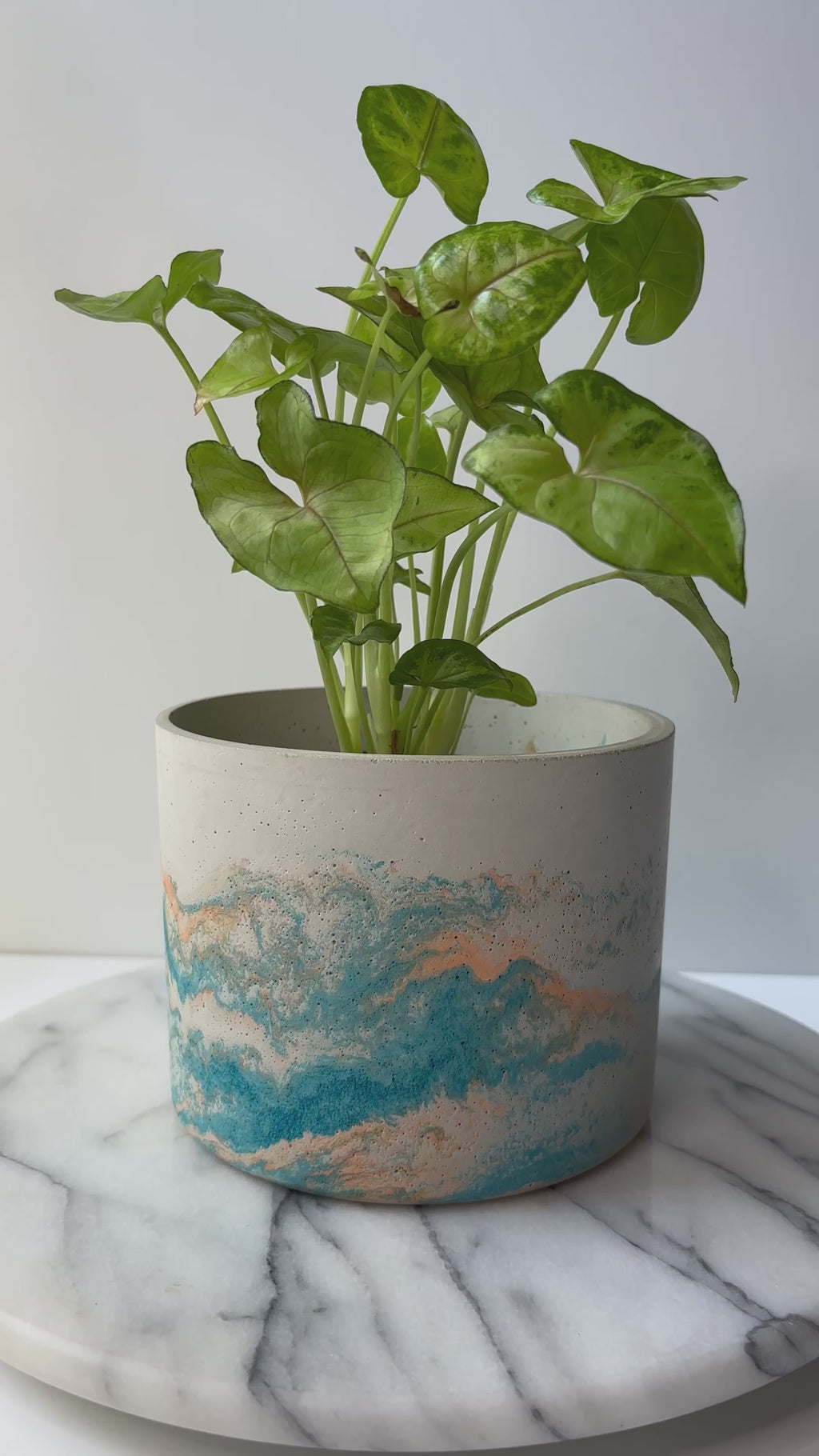Hera Pot 5.7”