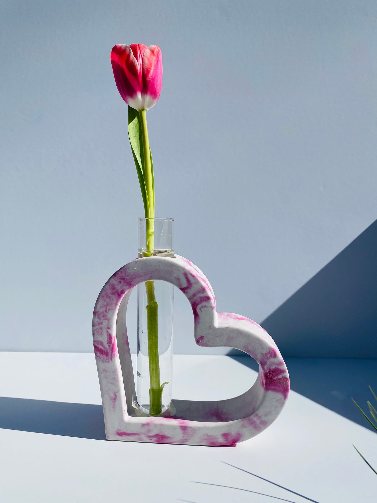 Heart Propagation Vase