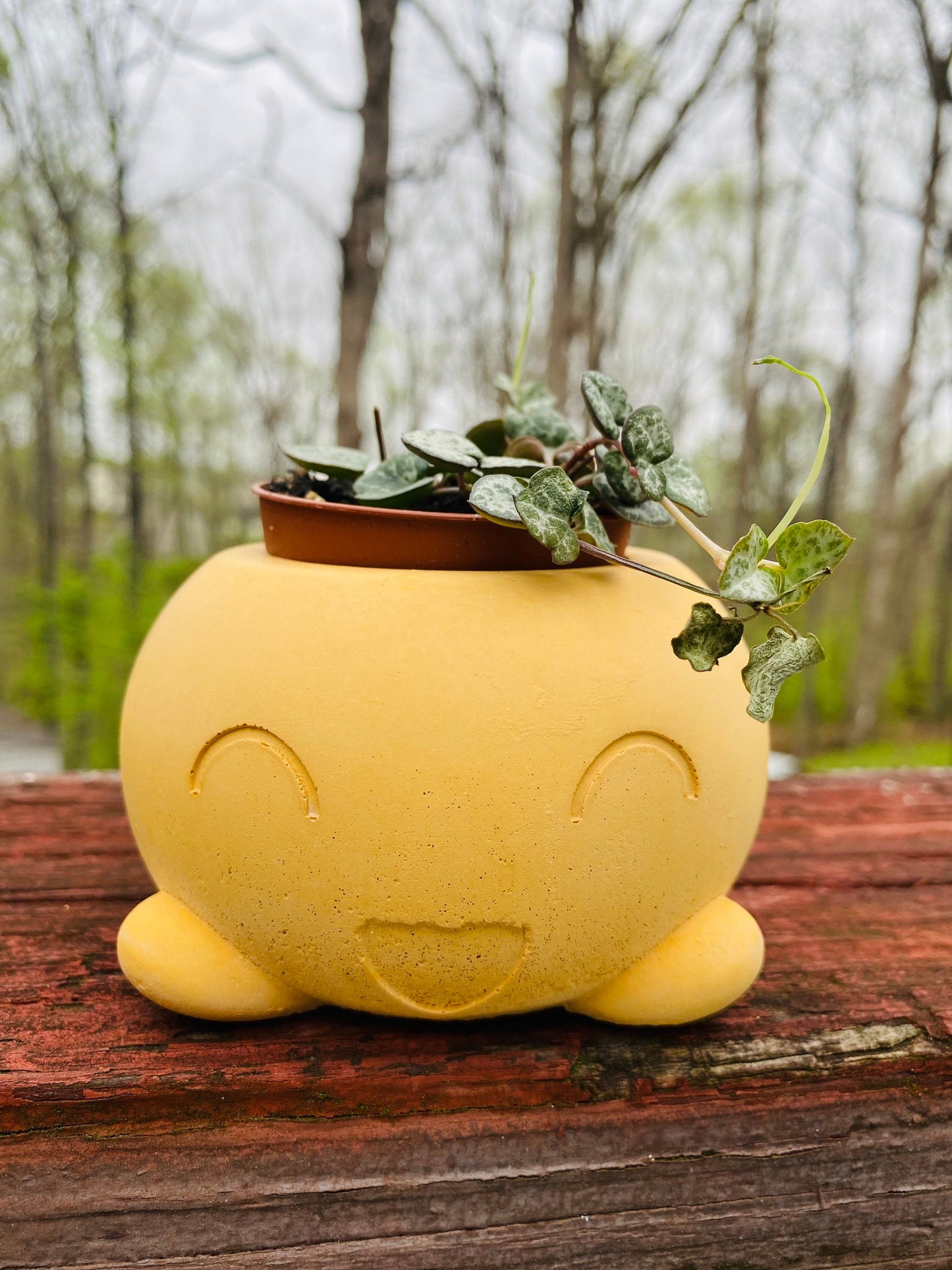 Happy Pot