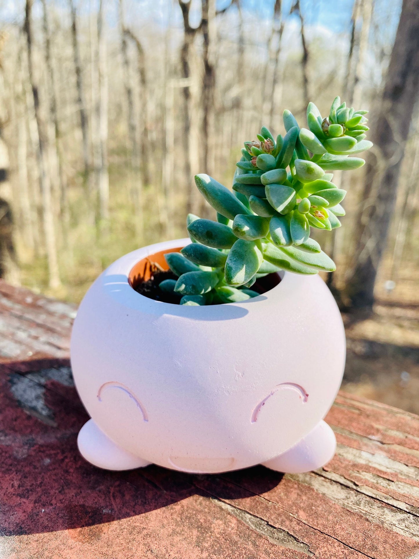 Happy Pot