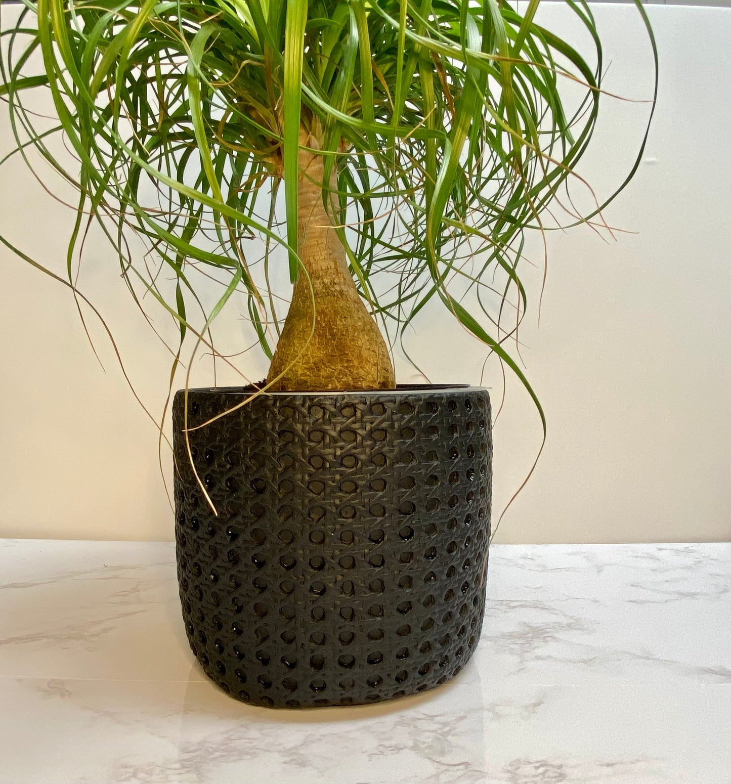 Basket Plant Pot