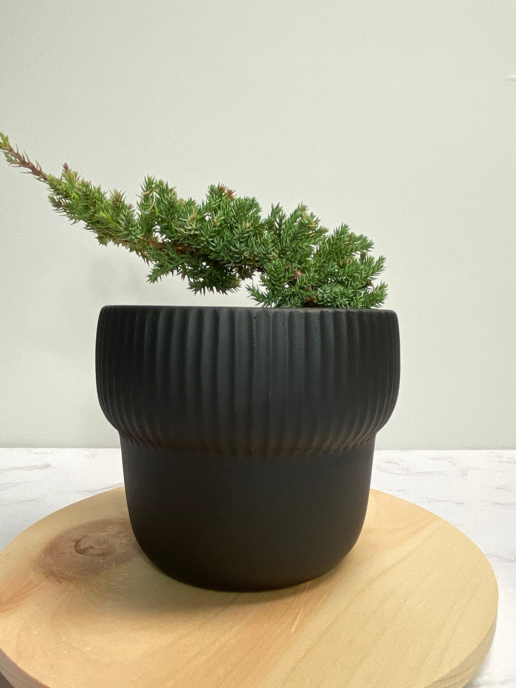 ODIN PLANTER