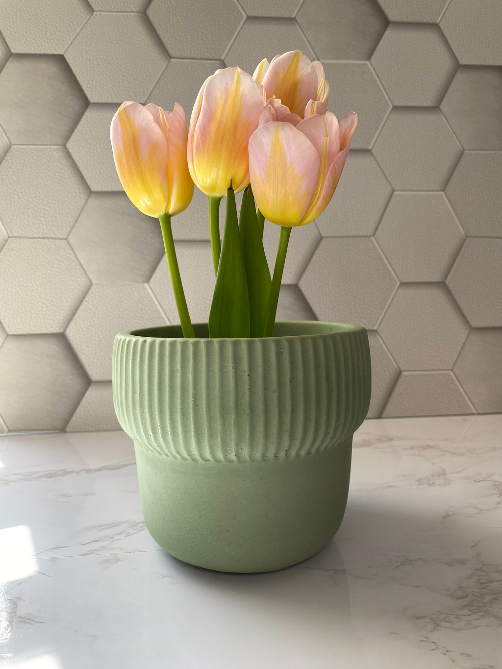 ODIN PLANTER