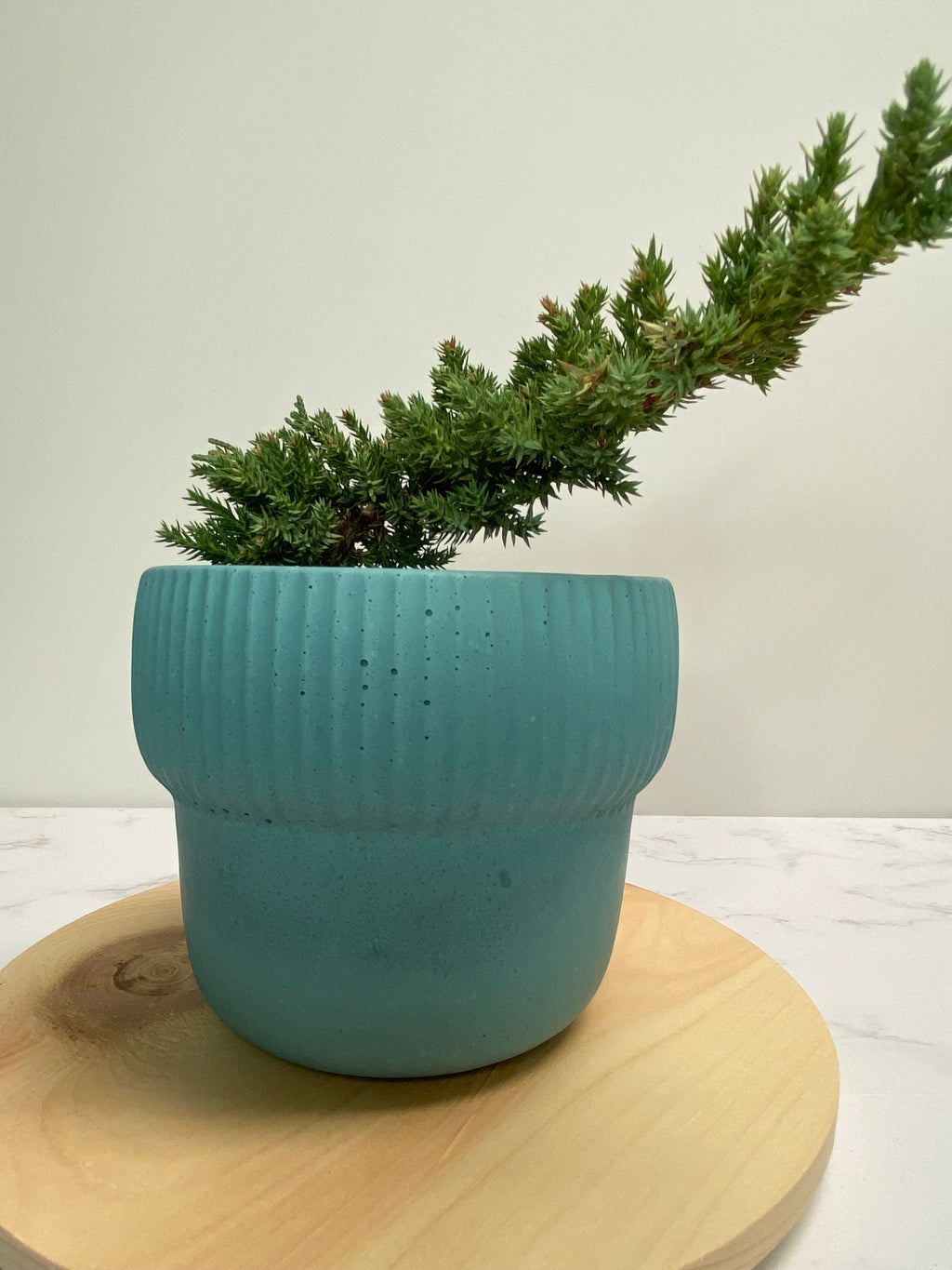 ODIN PLANTER