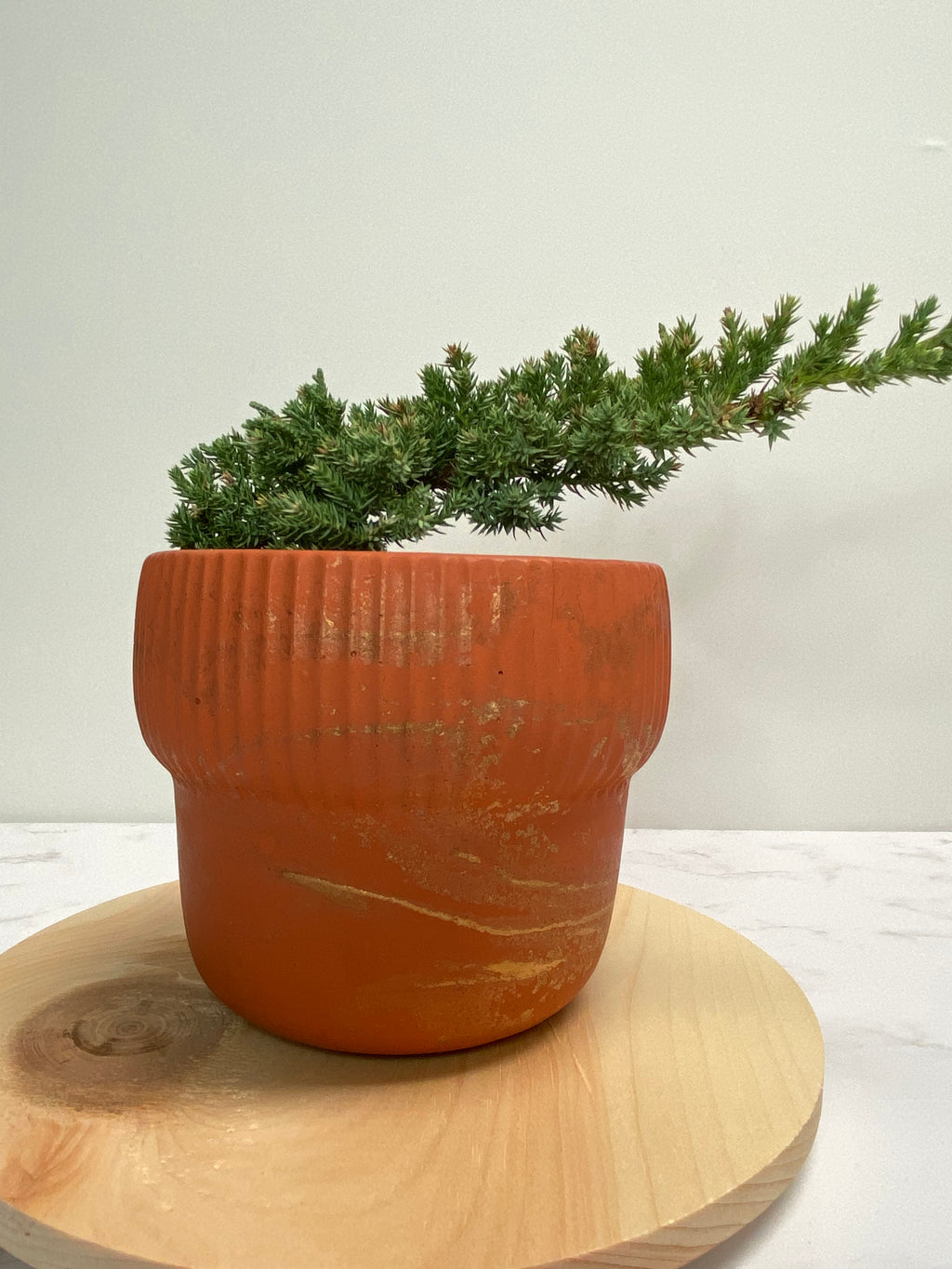 ODIN PLANTER